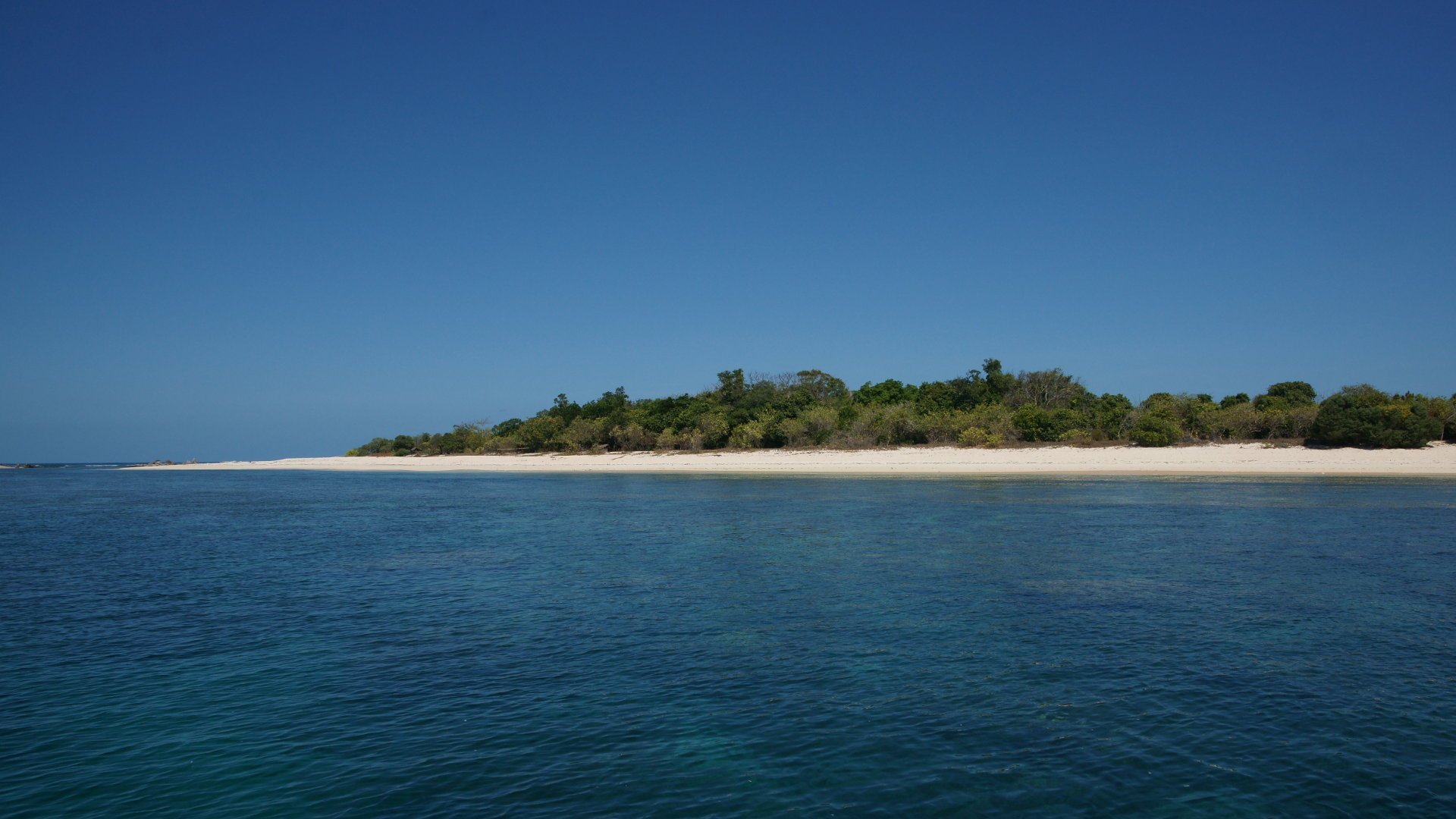 P island. Мыс Мелвилл, Австралия. Пемба (остров). Батерст остров. Остров Мелвилл фото.