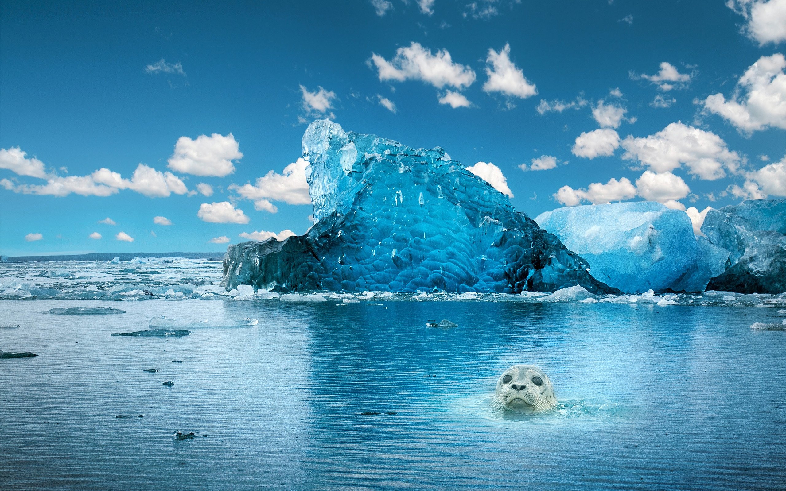 Лед 2 океан. Ледовитый океан. Ледовитый океан Айсберг. Айсберги Северного Ледовитого океана. Северный Ледовитый океан лед море.