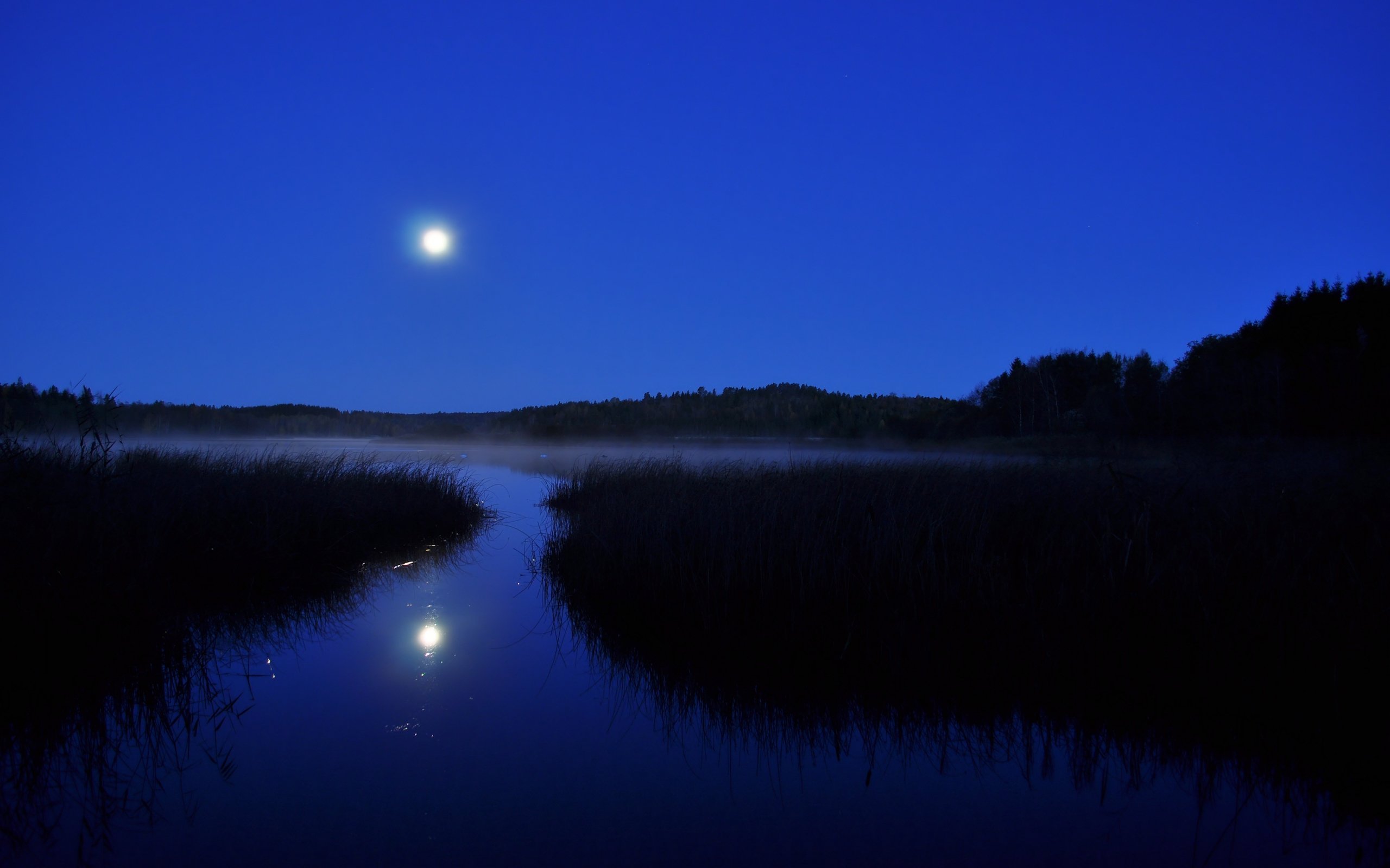 Свет спокойной. Река ночью. Ночь Луна река. Природа ночью. Ночной пейзаж.