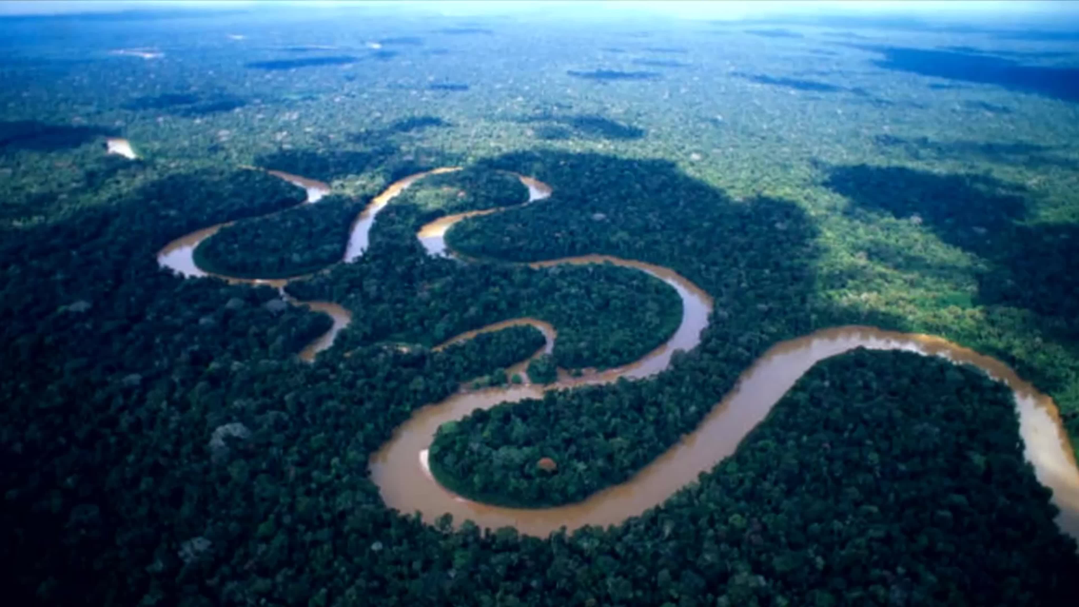 Какая самая длинная река в северной америке. Бассейн реки Амазонка. Укаяли река в Южной Америке. Рекорды земли река Амазонка. Амазония Южная Америка.