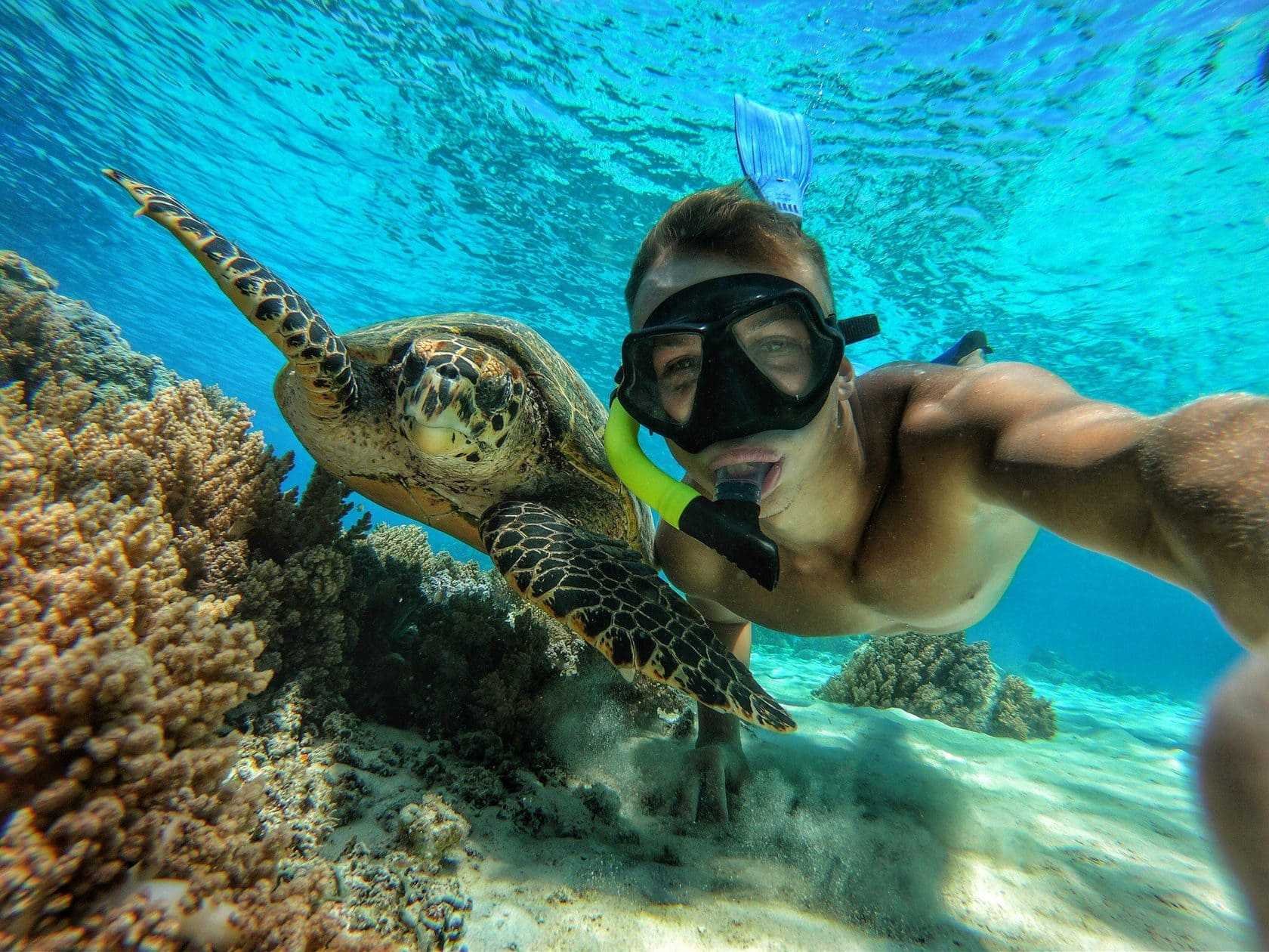 Унаватуна пляж с черепахами. Акумаль Мексика черепахи. Сейшелы снорклинг. Занзибар снорклинг. Варадеро сноркелинг.