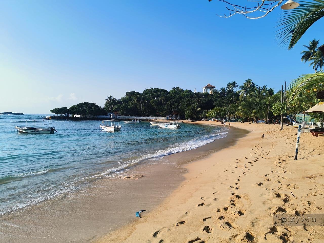 Унаватуна пляж с черепахами. Унаватуна Шри Ланка. Пляж Унаватуна Шри Ланка. Пляж Унаватуна Шри Ланка 2022. Унаватуна 2022 Шри Ланка.