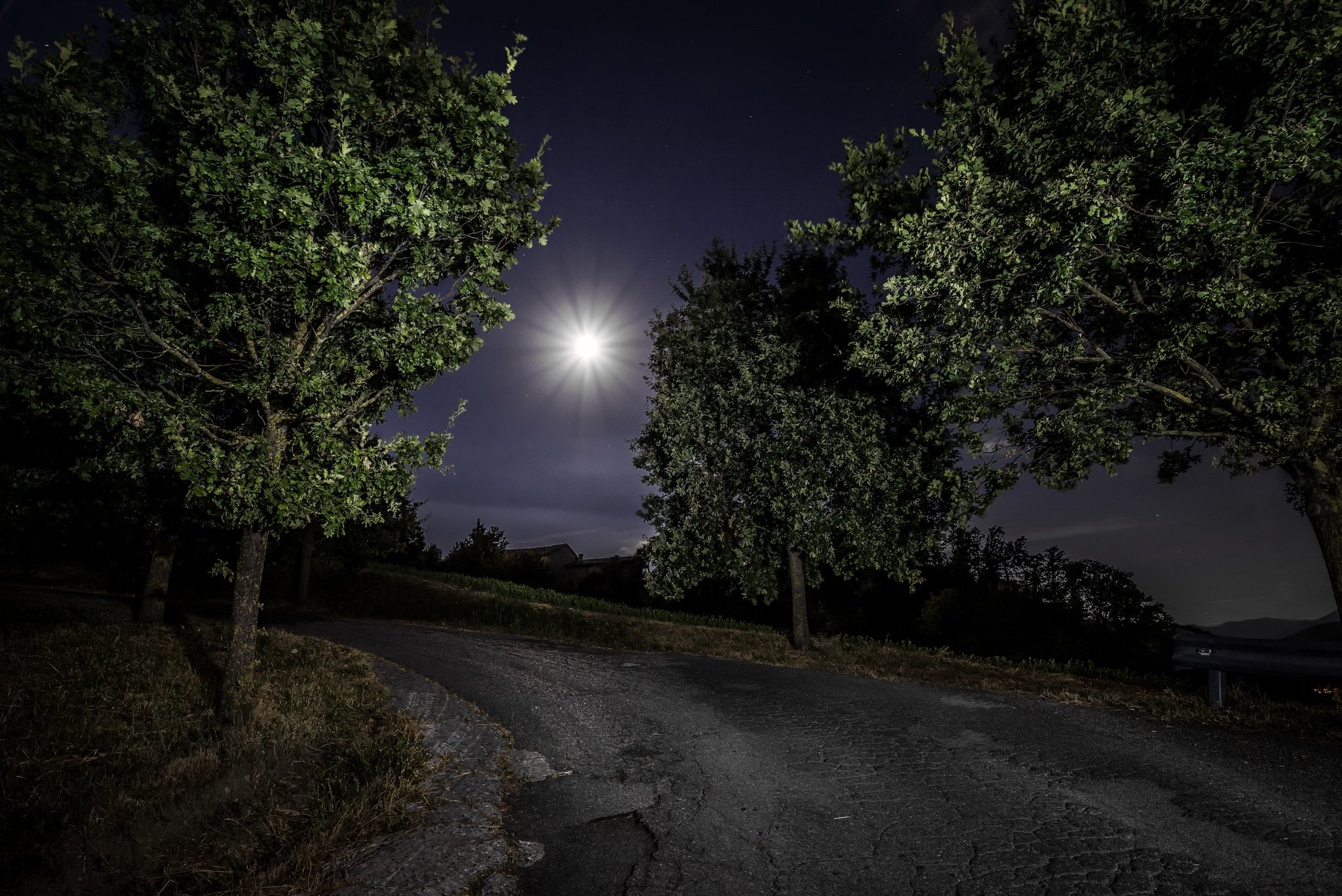 Освещенная луной дорога уходила вдаль обособление. Ночная природа. Ночной пейзаж. Природа ночью. Летняя ночь.