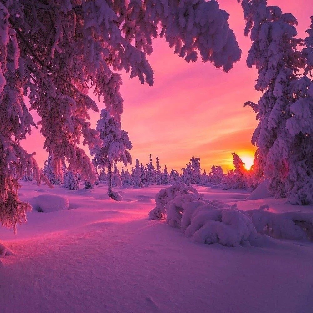 Рассвет зимой