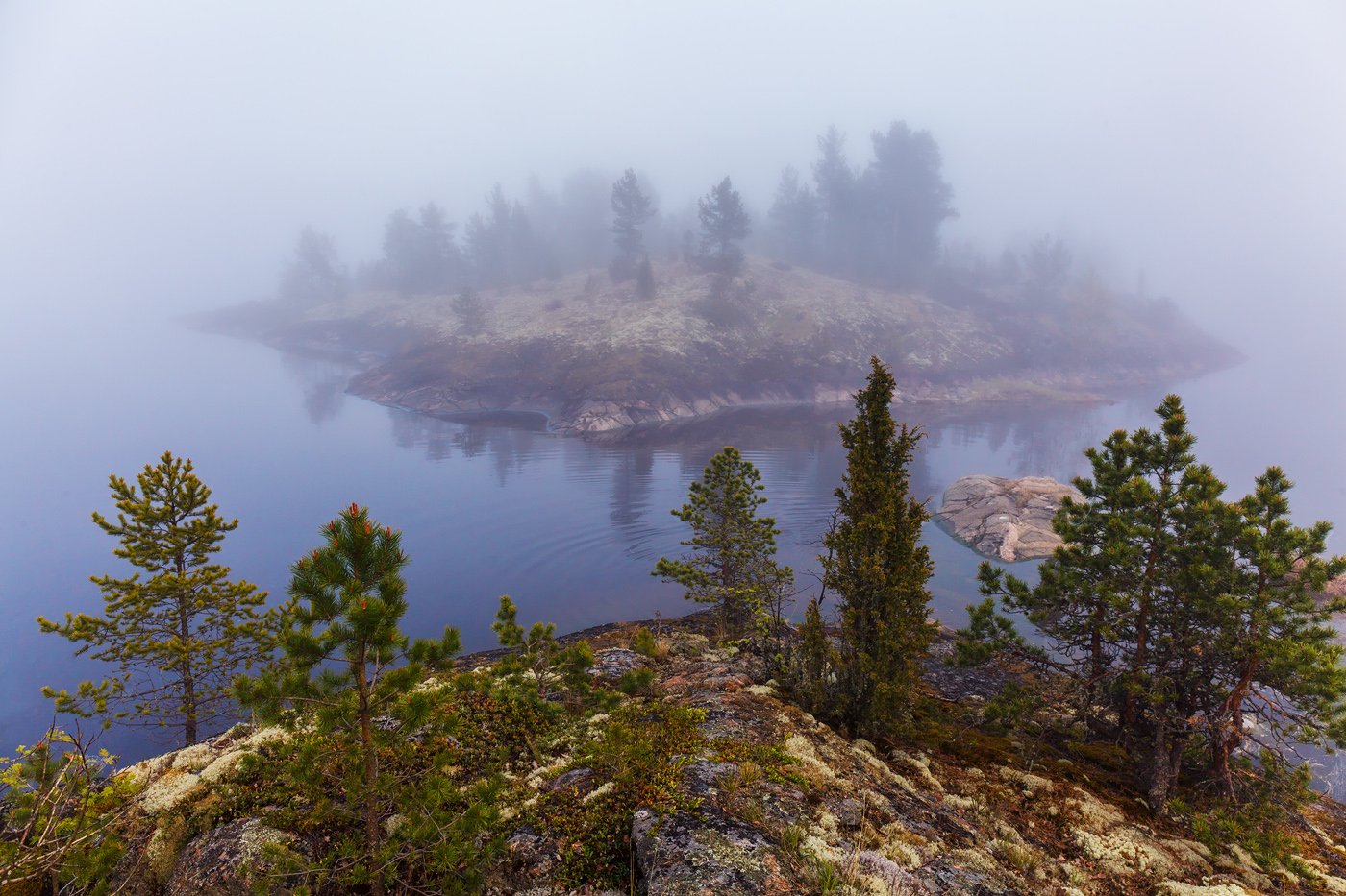 Карелия лес Ладога