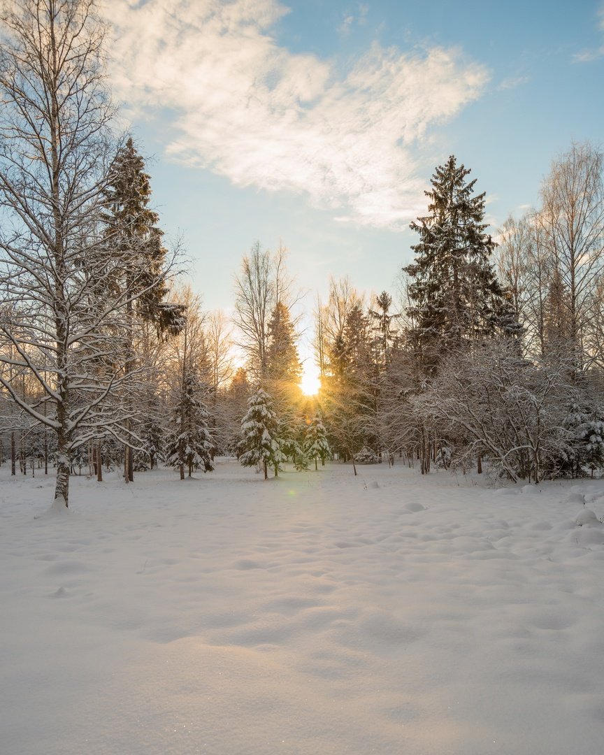 Зимние пейзажи Гатчины фото
