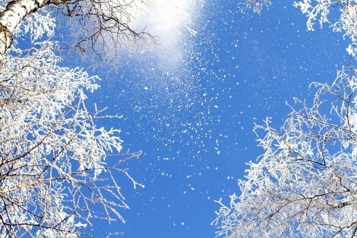 Зимний день воздух. Зимний воздух. Зимний снегопад. Падающий снег. Солнечный зимний день.