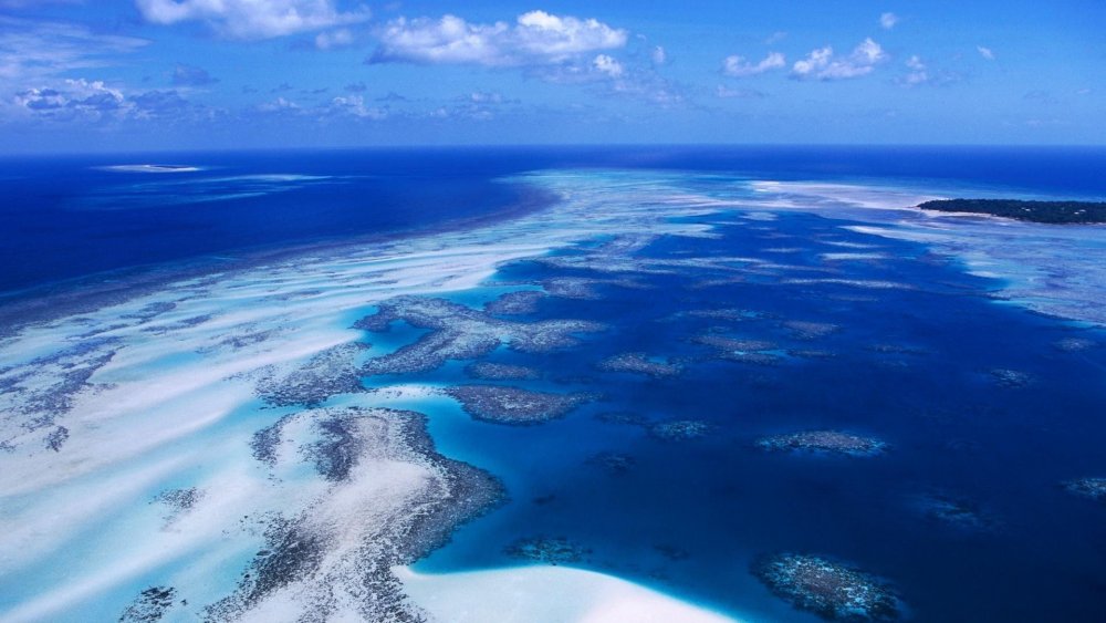Большой Барьерный риф тихий океан фото