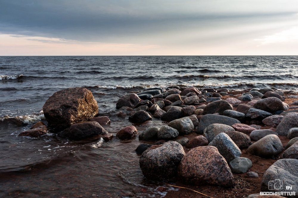 Каменистый берег финского залива