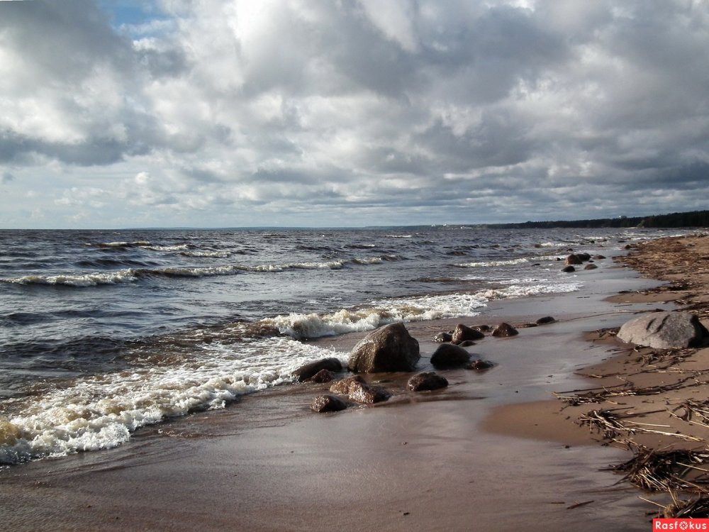 Берег финского залива Санкт-Петербург Комарово