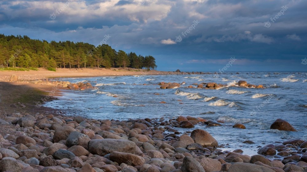 Берег Балтийского моря финский залив фото