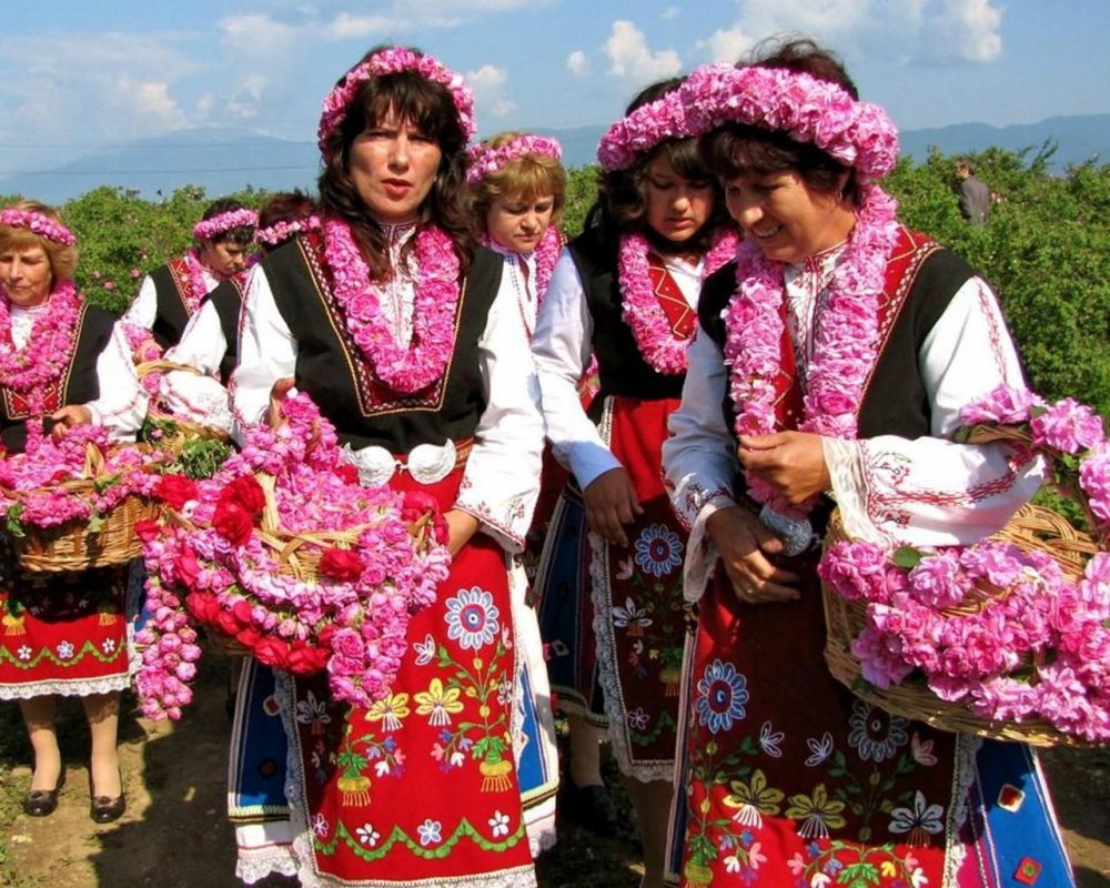 Болгария розовая Долина Казанлык
