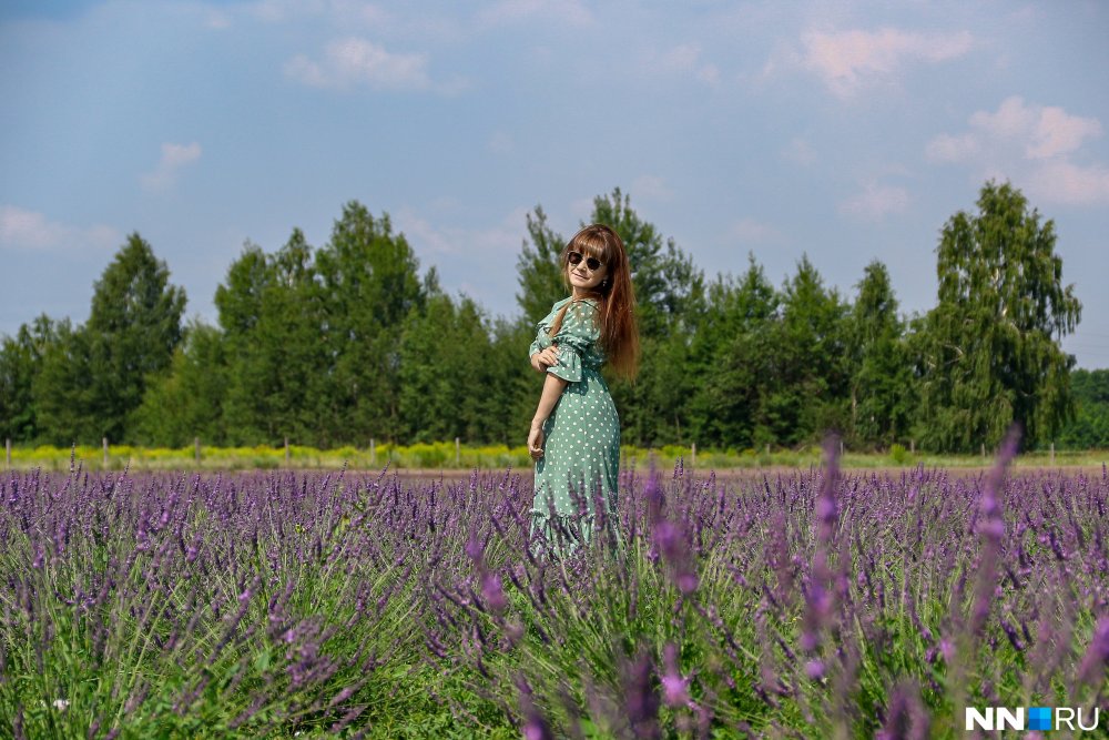 Лавандовое поле в Ростовской области
