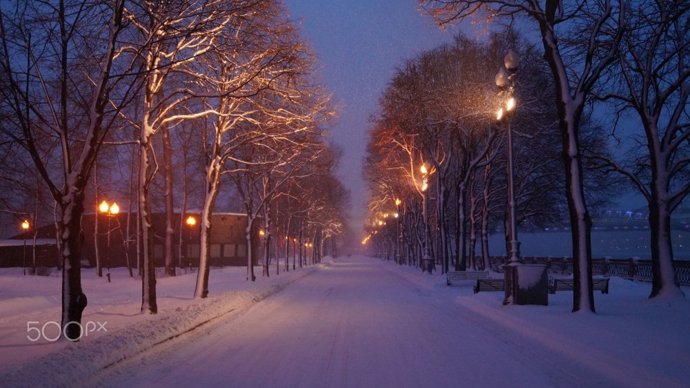 Парк зимой вечером
