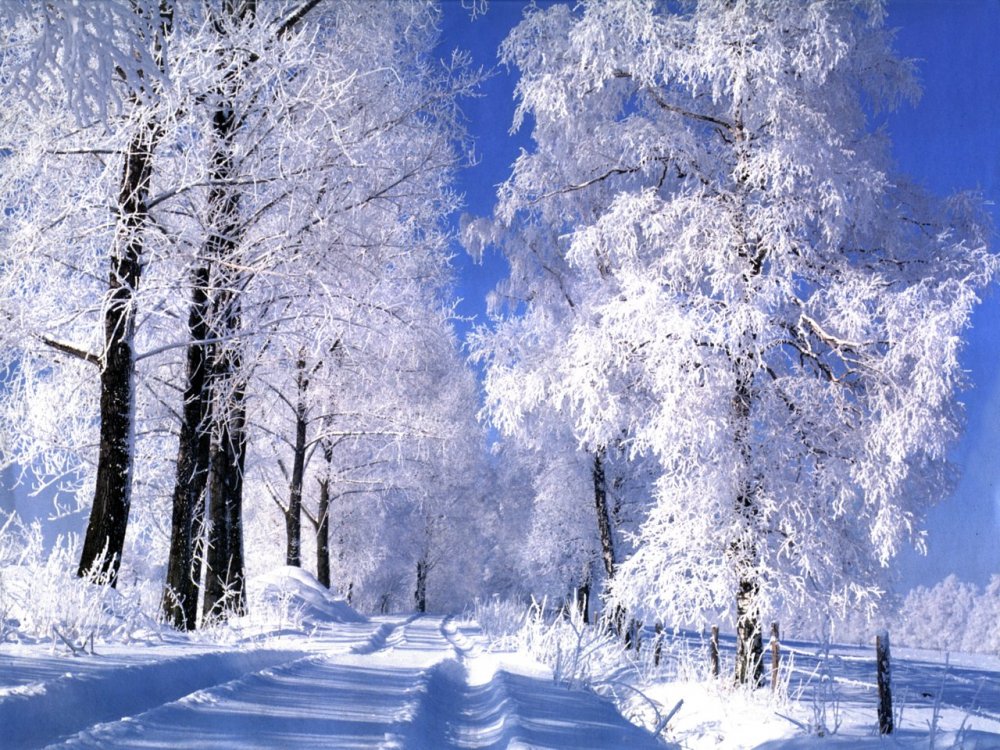 Зимний пейзаж вертикальный