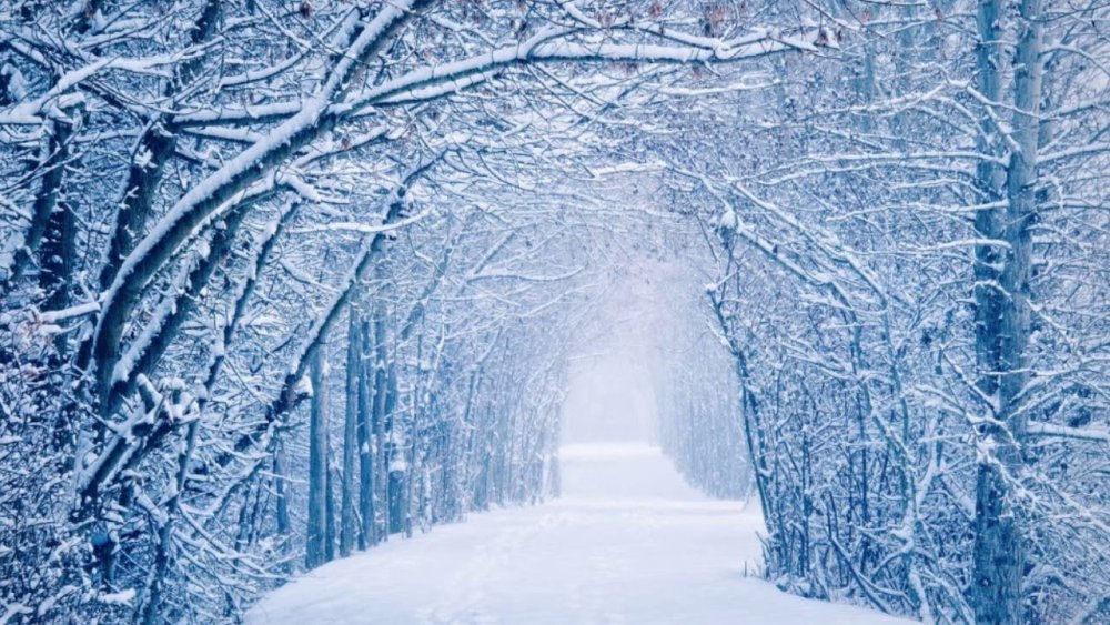 Красивый зимний пейзаж со Снегопадом