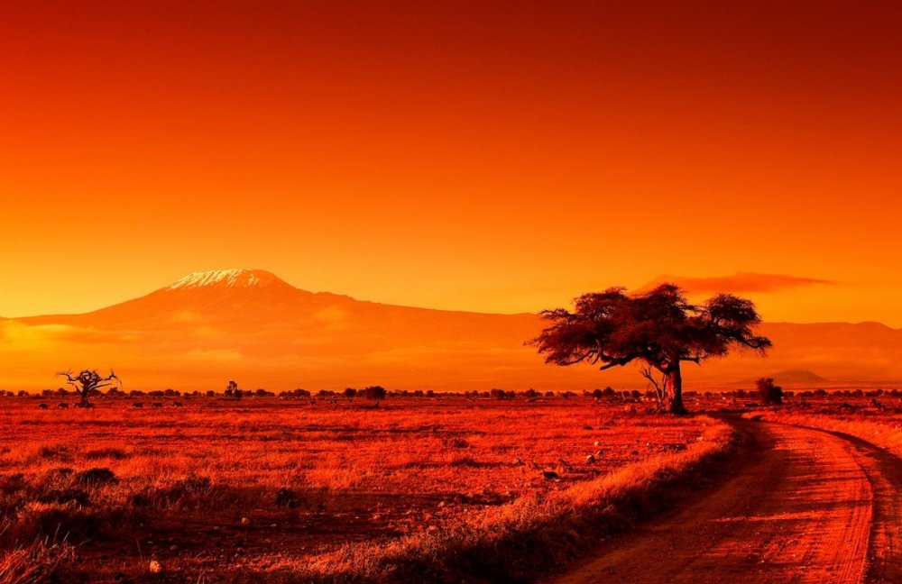 Килиманджаро рассвет