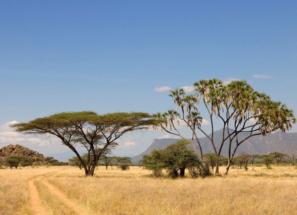 Национальный парк Шаба Кения