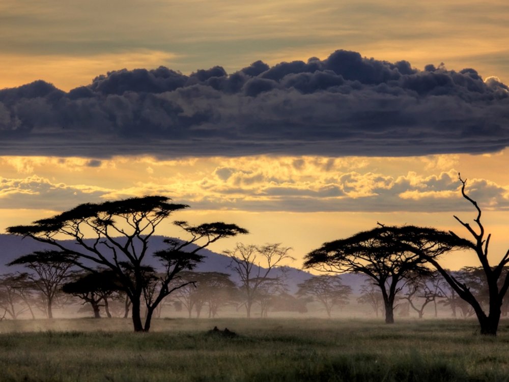 Национальный парк Серенгети Танзания
