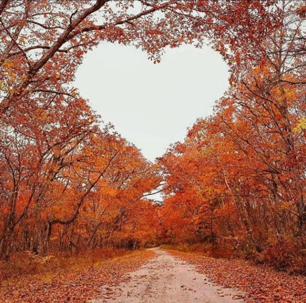 Осень сердце