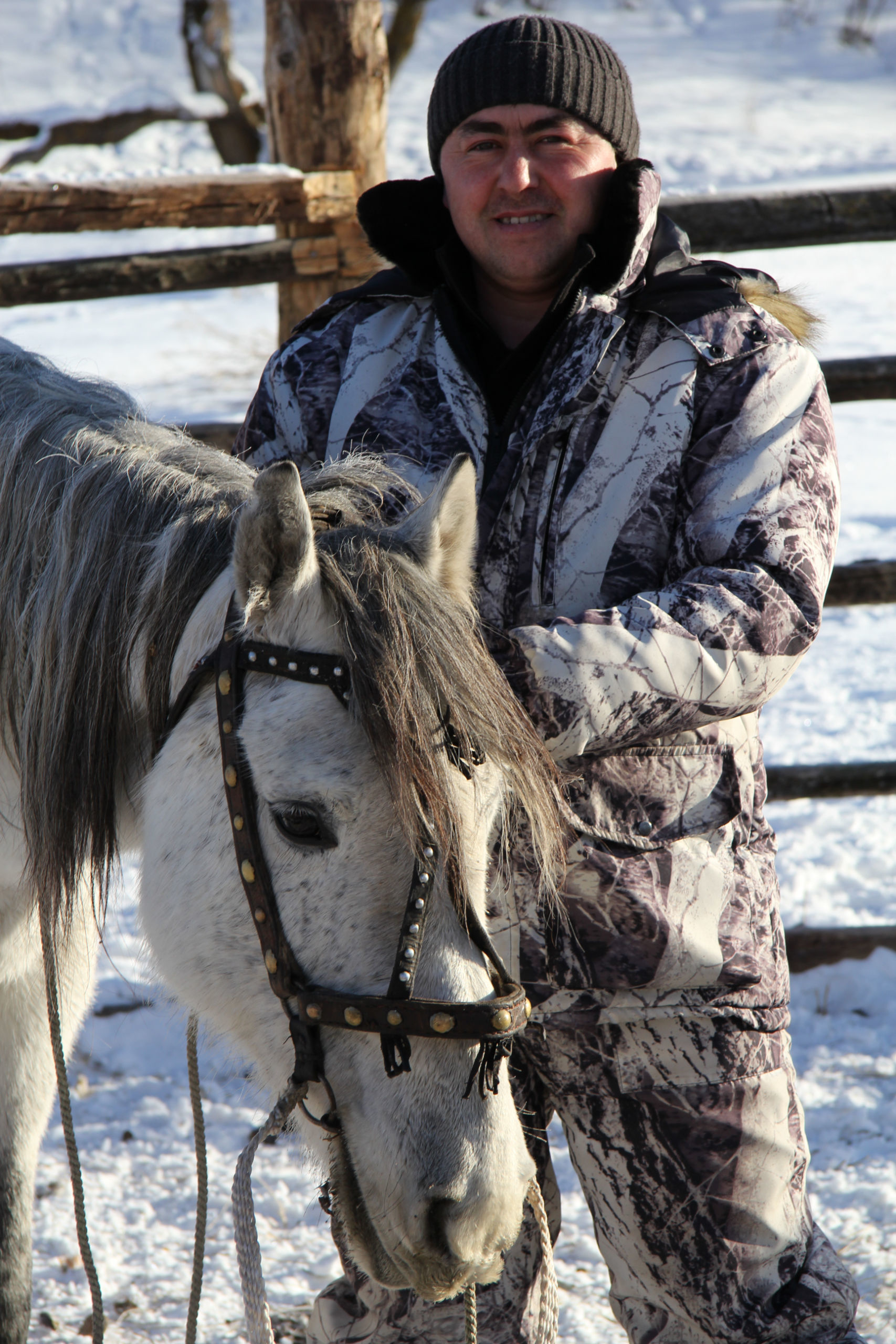 Кони республики алтай. Алтай лошади. Лошади в Республике Алтай. Республика Алтай кони. Лошади в горах.