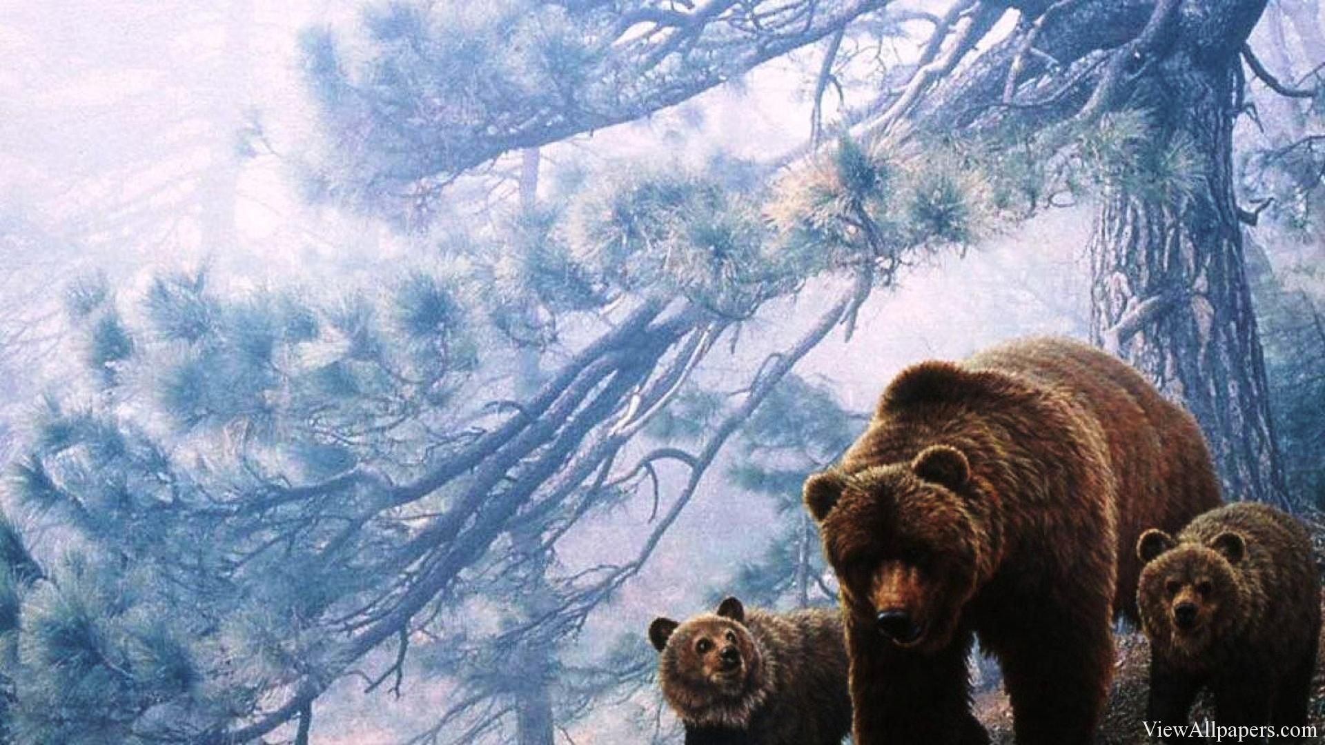 Дикая природа презентация для детей. "Медведи в лесу" Kim Norlien. Медведь обои. Обои на рабочий стол медведь. Медведь Гризли.