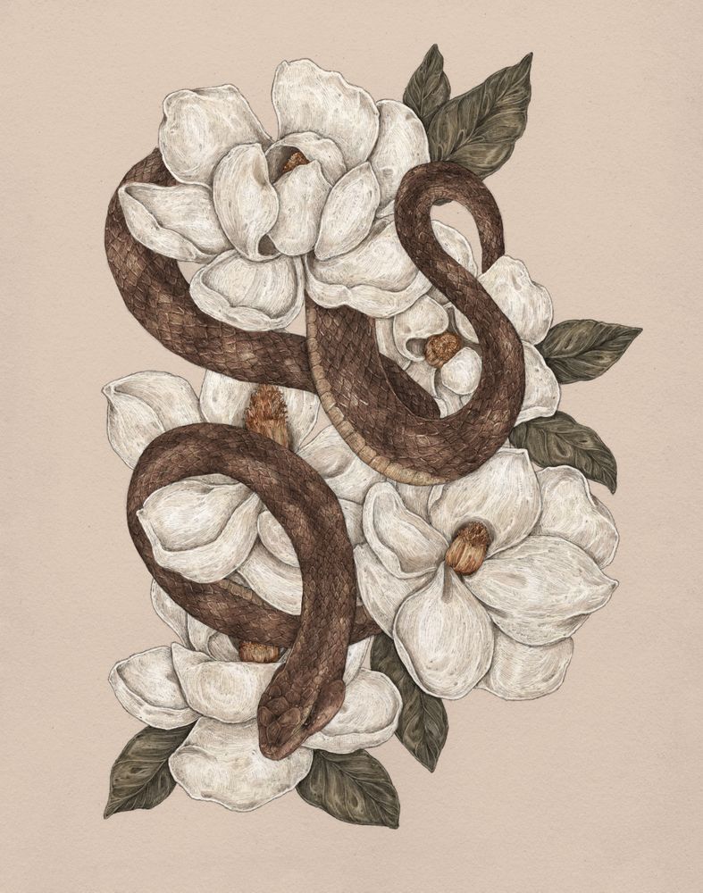 Змея и цветок 2. Цветок и змея. Змея в цветах. Змея обвивающая цветок. Эскиз змеи с цветами.