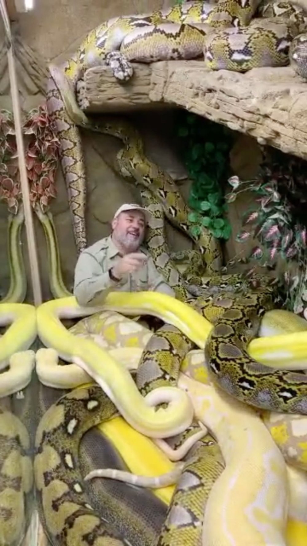 Люди боящиеся змей. Бассейн со змеями.